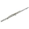 cumpără Instrument muzical de suflat Clifton Flaut A0495 în Chișinău 