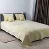 cumpără Textile de casă Relaxe Home Покрывало VELOUR 220x240 см Beige în Chișinău 