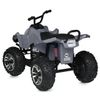 cumpără Mașină electrică pentru copii Golden Baby S621 ATV electric, sur, GB2390 în Chișinău 