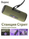 купить Колонка портативная Bluetooth Yandex YNDX-00030GRN Alisa Station Street Green в Кишинёве 