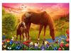 cumpără Puzzle Trefl 37451 Puzzle 500. Cai în Chișinău 
