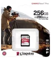 cumpără Card de memorie flash Kingston SDR2V6/256GB în Chișinău 