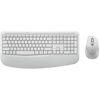купить Клавиатура + Мышь Logitech MK880 White в Кишинёве 