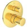 cumpără Baterie de duș Ideal Standard CERATHERM T100 Brushed Gold A5813A2 în Chișinău 
