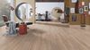 Parchet laminat Krono Original 8199 Desert Oak, Planked (NL) 8mm/32