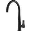 купить Смеситель кухонный Gessi 17151-299 Proton Matte Black в Кишинёве 