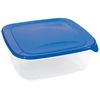 cumpără Container alimentare Curver 182277 FRESH&GO patrat 2.9 L albastru în Chișinău 