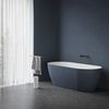 купить Ванна Ravak Freedom O Tec White/Blue acryl freestanding 170x77 CD21400000 в Кишинёве 
