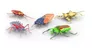 cumpără Jucărie miscellaneous HEX 6071530 Nano Real Bugs, набор из 5шт. în Chișinău 
