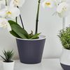 cumpără Ghiveci pentru flori Aleana 114034 Ibis cu fund dublu 15,7x13,0cm, granite / white în Chișinău 