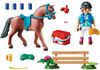 купить Конструктор Playmobil PM70294 Horse Farm Gift Set в Кишинёве 
