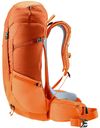купить Туристический рюкзак Deuter Futura 32 chestnut-mandarine в Кишинёве 