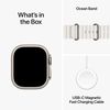 купить Смарт часы Apple Watch Ultra 2 GPS + Cellular, 49mm White Ocean MREJ3 в Кишинёве 
