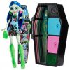 cumpără Păpușă Mattel HNF81 Monster High în Chișinău 