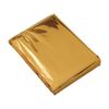 купить Одеяло AceCamp Emergency Blanket Gold, 3806 в Кишинёве 