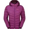 cumpără Îmbrăcăminte sport Rab Scurta dame Cirrus Flex Hoody Plum/Mulberry 12 (QIP-32-PMU-12) în Chișinău 