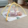 cumpără Complex de joacă pentru copii Fisher Price HRB15 Детский коврик для активного отдыха с 6 сенсорными игрушками în Chișinău 