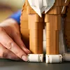 купить Конструктор Lego 21376 Ideas Motan portocaliu, 21376 в Кишинёве 
