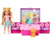 купить Кукла Mattel JJB40 Petrecere cu ceai в Кишинёве 