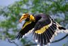 cumpără Obiectiv Nikon Z 600mm f/6.3 VR S Nikkor în Chișinău 