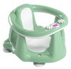купить Аксессуар для купания OK Baby 37991200 Scaun de baie Flipper Evolution Mint в Кишинёве 