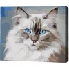 купить Картина по номерам BrushMe RMG0001FC 30x40 см (без коробки) Бирманская кошка в Кишинёве 