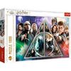 купить Головоломка Trefl 10717 Puzzles - 1000 - The Deathly Hallows в Кишинёве 