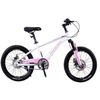 купить Велосипед New World HAI BAO Bicicleta cu 2 roti, 18", roz, 2359D в Кишинёве 