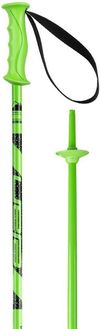 cumpără Bețe de schi Elan Rock Rod JR green 095 (CD813121) în Chișinău 