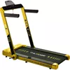 купить Беговая дорожка Thunder Race, Gold (НФ-00001572) в Кишинёве 