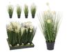 купить Декор Holland 47501 NVT Цветок искусственный Цветущая трава 46cm в Кишинёве 