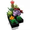 cumpără Set de construcție Lego 10309 Botanicals Suculente în Chișinău 