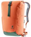 купить Рюкзак спортивный Deuter StepOut 22 chestnut-ivy в Кишинёве 