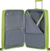 купить Чемодан Samsonite Fastforward 78/29 TSA Exp Lime (155261/8924) в Кишинёве 