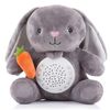 cumpără Jucărie de pluș Chipolino PIL02010RABB Rabbit în Chișinău 
