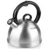 Kettle Rondell RDS-237 