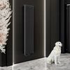купить Радиатор Gorgiel CEZAR AD1 180/40 Black mat 24 {51} в Кишинёве 