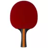 cumpără Articol de tenis Stiga 1214-3218-01 Bat Vision 4-Star în Chișinău 