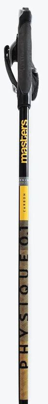 купить Треккинговые палки Masters NW PHYSIQUE 0.1 Carbon 100cm (01N0319 100) в Кишинёве 