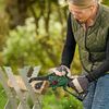 cumpără Fierăstrău Bosch 6008B8900 Pruner Saw în Chișinău 