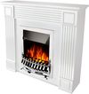 купить Камин электрический ArtFlame Nexor & Galileo Silver, 950x1000x270mm, Alb в Кишинёве 