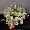 Buchet din eustoma alba in vaze