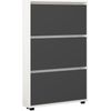 cumpără Raft pentru încălțăminte Mobildor-Lux Leo Slim 50x16x125H cm White/Anthracite în Chișinău 