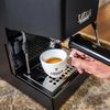 cumpără Espressor manual Gaggia RI9481/14 Classic Evo black în Chișinău 