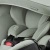 cumpără Scaun auto Britax-Römer BABY-SAFE PRO Style Sage Green (2000042124) în Chișinău 