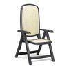 купить Кресло складное Nardi DELTA ANTRACITE beige 40310.02.105 (Кресло складное для сада и террасы) в Кишинёве 