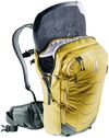 купить Рюкзак спортивный Deuter Flyt 14 turmeric-ivy в Кишинёве 