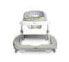 купить Ходунок Toyz 20767 Timon Graphite в Кишинёве 