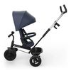 купить Велосипед-коляска KinderKraft Aston 2 Plus Navy (KRASTO02NAVPL00) в Кишинёве 