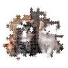 купить Пазл Clementoni Puzzle 1000 HQC Lovely Kittens (39943) в Кишинёве 